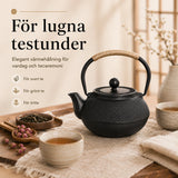 Gjutjärn Tekanna Japansk