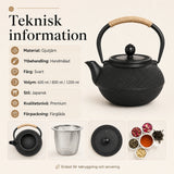 Gjutjärn Tekanna Japansk